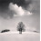 Michael Kenna Constellation Hardcover Book 1