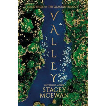 Valley by Stacey McEwan Hardcover Book