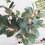 Ramo de eucalipto falso com frutos - decoração com folhagem. 1