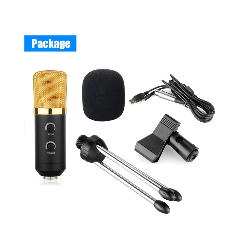Studio USB Mic with Echo