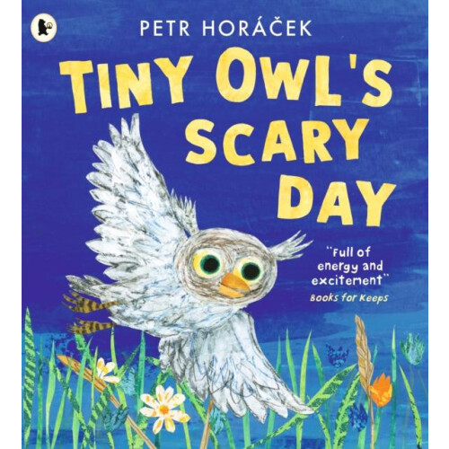 Tiny Owls Scary Day by Petr Horacek Paperback Book