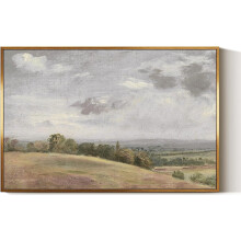 ASPORIC Vintage Leinwandbild „Wildblumenwiese“, rustikaler Blumenlandschaftsdruck, moderne botanische Dekoration im Landhausstil, 40 x 50 cm