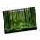 Vivid Underwater Forest Backdrop 19