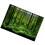 Vivid Underwater Forest Backdrop 16