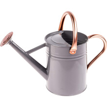 Arrosoir gris clair 1 gallon