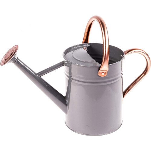 Arrosoir gris clair 1 gallon