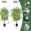 Árvore artificial de bambu de seda, 1,83 m de altura, com 1155 folhas em vaso. 2