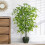 Árvore artificial de bambu de seda, 1,83 m de altura, com 1155 folhas em vaso. 5