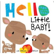 Hello Little Baby Other Book