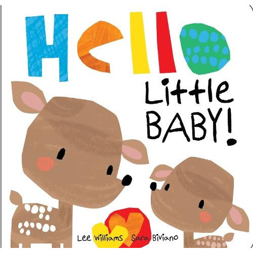 Hello Little Baby Other Book