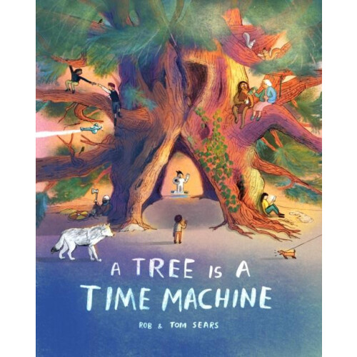 Tree is a Time Machine by Tom Sears Hardcover Book