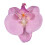 Orchidea Hajcsat Női Művirág 1 Darab 1