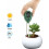 Kit de teste de solo 3 em 1 com medidor de umidade, luz e pH para jardim. 4