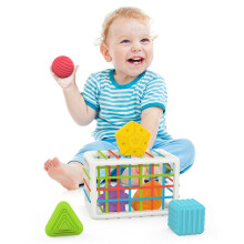 Shape Sorting Box with Elastic Bands for Motor