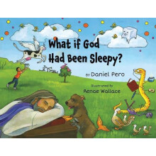 What if God Had Been Sleepy by Daniel Pero Paperback Book