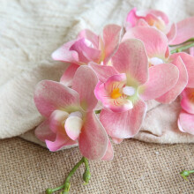 Bouquet de fleurs de soie d'orchidées Phalaenopsis (1 pièce)
