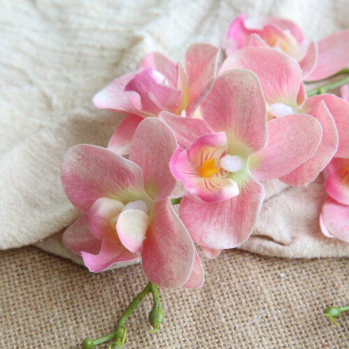 Bouquet de fleurs de soie d'orchidées Phalaenopsis (1 pièce)