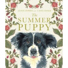 Summer Puppy by Jackie Morris Hardcover Book
