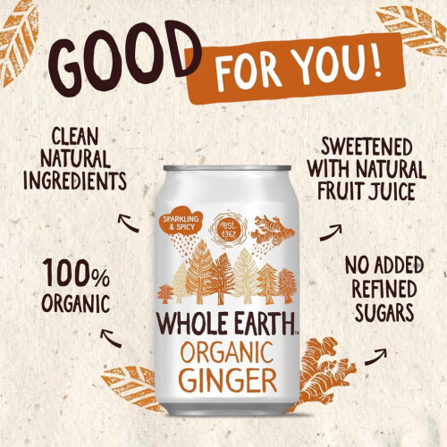 Organic Sparkling Ginger Drink 24x 330 ml 1