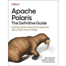Apache Polaris The Definitive Guide by Tomer Shiran Paperback Book