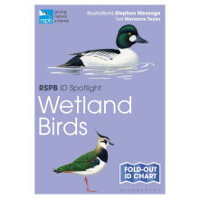 RSPB ID Spotlight Wetland Birds by Marianne Taylor Paperback Book