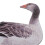 Acrylic Animal Yard Decor Set 5