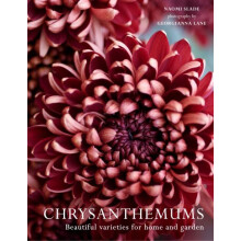 CHRYSANTHEMUMS HB Beautiful varieties for home and garden by Naomi Sla