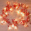 Weihnachtslichterkette mit roten Beeren, 3 m lang, 30 LEDs 1