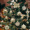 Christmas Decorations Gold Electroplated Plastic Balls 60 3