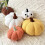 Pumpkin Pillow Plush Cushion 11 Inch White 5