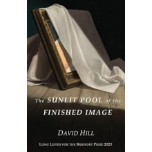 Sunlit Pool of the Finished Image by David Hill Paperback Book