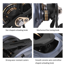 DW200 Baitcaster Metal 7.2:1 18+1BB Gold
