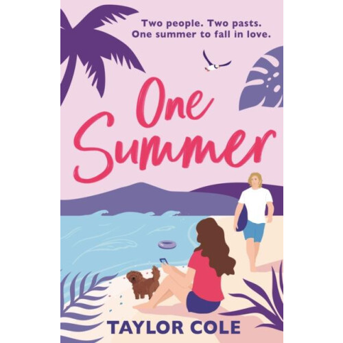 One Summer by Taylor Cole Paperback Book