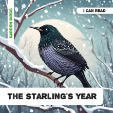 Starlings Year by Caroline Petherbridge Paperback Book