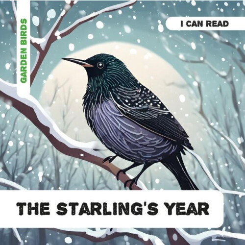Starlings Year by Caroline Petherbridge Paperback Book