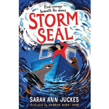 Storm Seal A seaside story of family and hope by Sarah Ann Juckes Pape