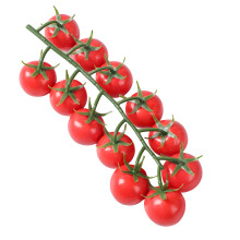 Kunstmatige kleine tomatenbos Realistische simulatie-Rood