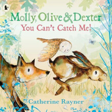 Molly Olive and Dexter You Cant Catch Me by Catherine Rayner Paperback