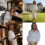 Women Lace Embroidered Blouse Long Sleeve Collared Button Up 2