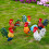 Piquets d'animaux de coq, Statue d'animal de coq,-Blanc 5