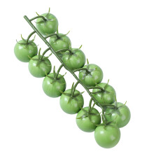 Simulation réaliste de petites tomates, mousse-Vert