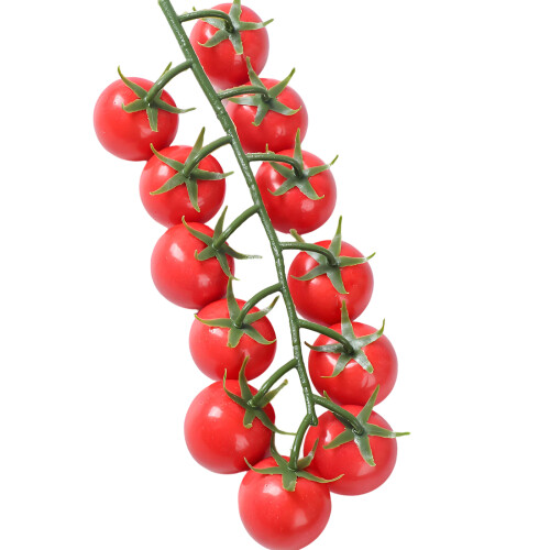Realistic Simulation Small Tomatoes Artificial Foam Small-Red