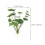 Foglie di loto artificiali decorative (2 pezzi) 2