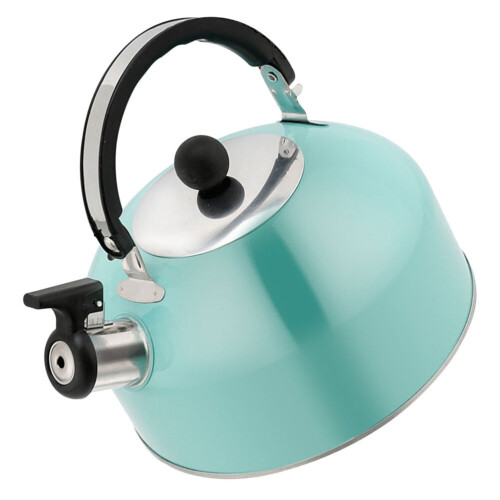 Bouilloire à induction en acier inoxydable 1,7 L