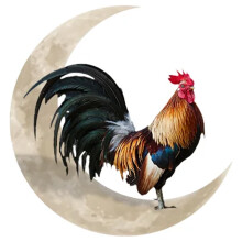 Rooster Moon Wall Decor Metal Sign 12x12 Inch