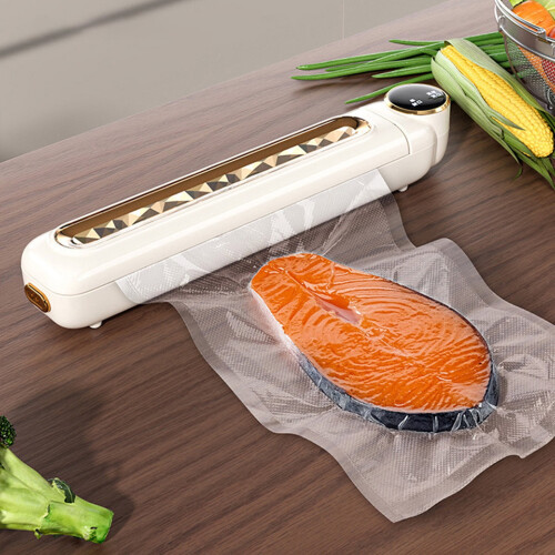 Machine de mise sous vide portable avec 10 sacs thermoscellables