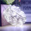 ZOELNIC copper wire string lights 200LED cool white 2 pcs 5