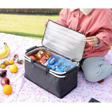 Cesta de picnic Beautynvta aislada y plegable de 16,54" x