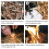 10-Pack Flint Fire Scraper Tools 1