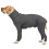Dog Jumpsuit  XL 1
